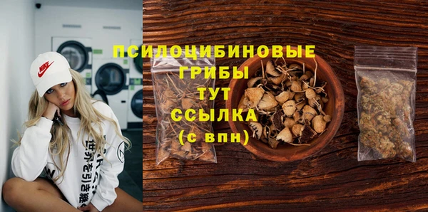 твердый Краснослободск