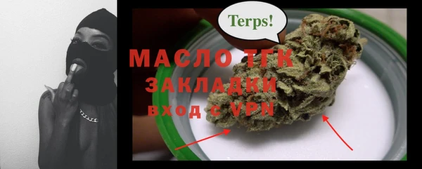 твердый Краснослободск