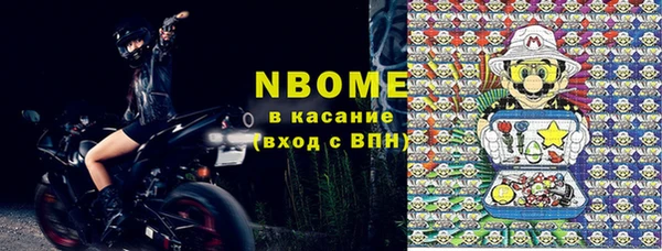 твердый Краснослободск
