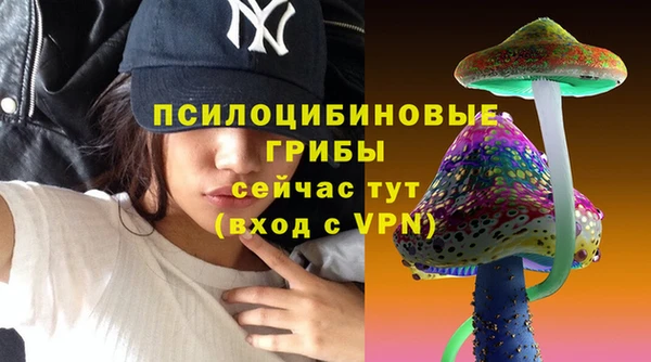 таблы Лабытнанги