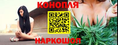 jwh Гусев