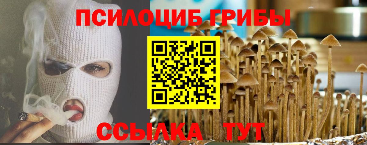 Малгобек  Галлюциногенные грибы мухоморы  Вход с VPN 